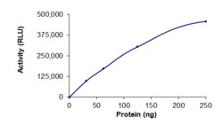 Sino Biological&nbsp;Recombinant Human PIK3C3 Protein (Full Length, GST Tag), Active